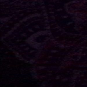 Meet your Posher, Bella